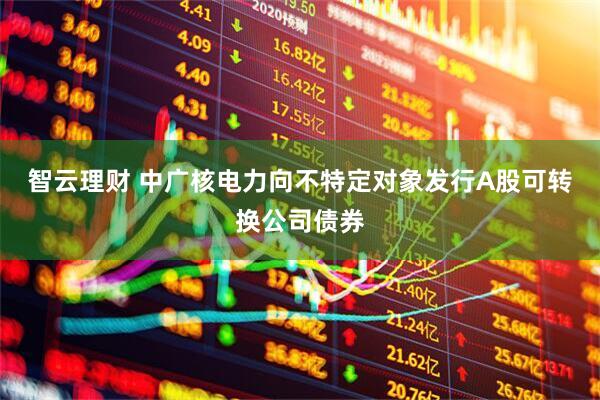智云理财 中广核电力向不特定对象发行A股可转换公司债券