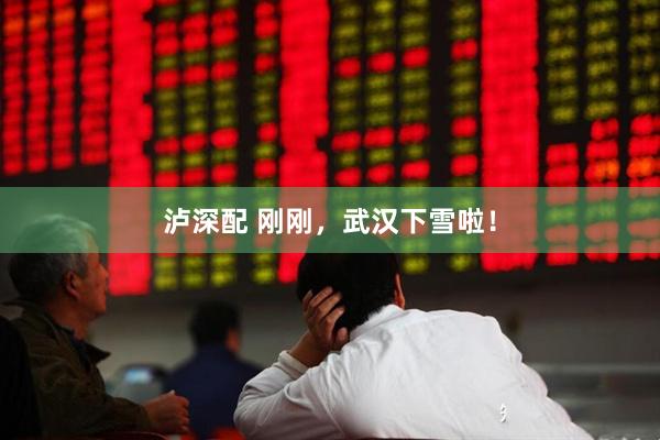 泸深配 刚刚，武汉下雪啦！