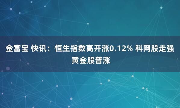 金富宝 快讯：恒生指数高开涨0.12% 科网股走强 黄金股普涨
