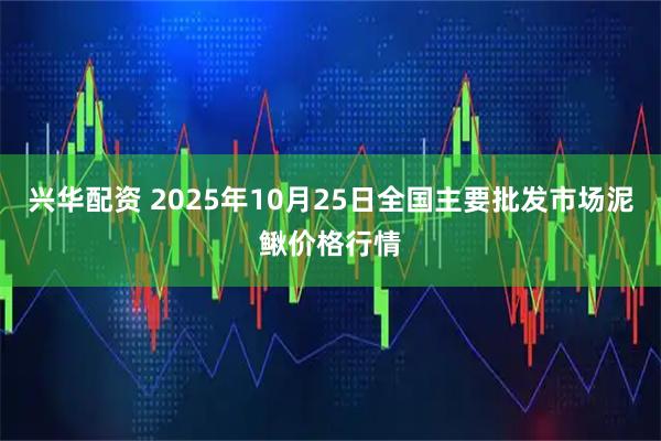兴华配资 2025年10月25日全国主要批发市场泥鳅价格行情