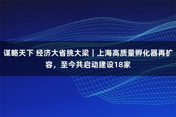 谋略天下 经济大省挑大梁｜上海高质量孵化器再扩容，至今共启动建设18家