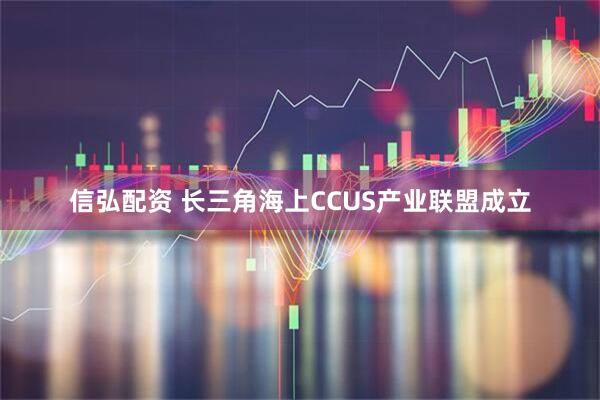 信弘配资 长三角海上CCUS产业联盟成立