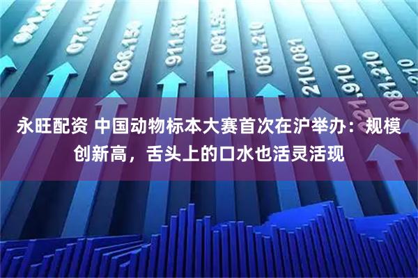 永旺配资 中国动物标本大赛首次在沪举办：规模创新高，舌头上的口水也活灵活现