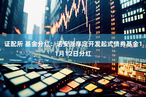 证配所 基金分红：诺安浙享定开发起式债券基金11月12日分红